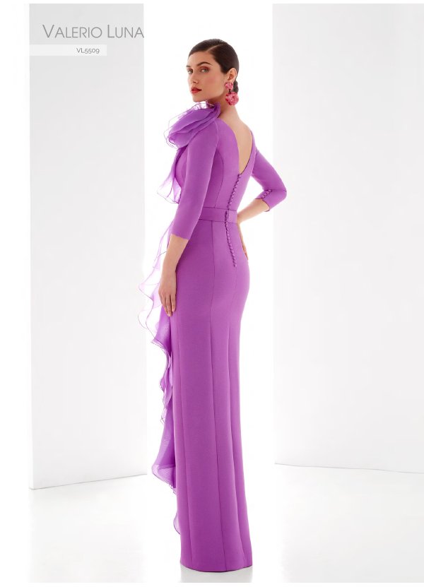 VESTIDO CREPE Y ORGANZA SEDA 2