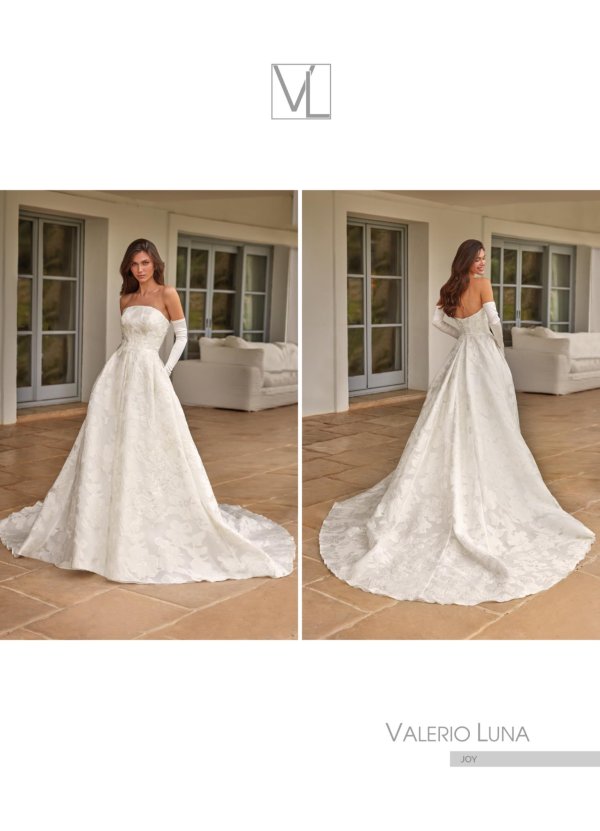 VESTIDO ORGANZA BROCADA Y... 2