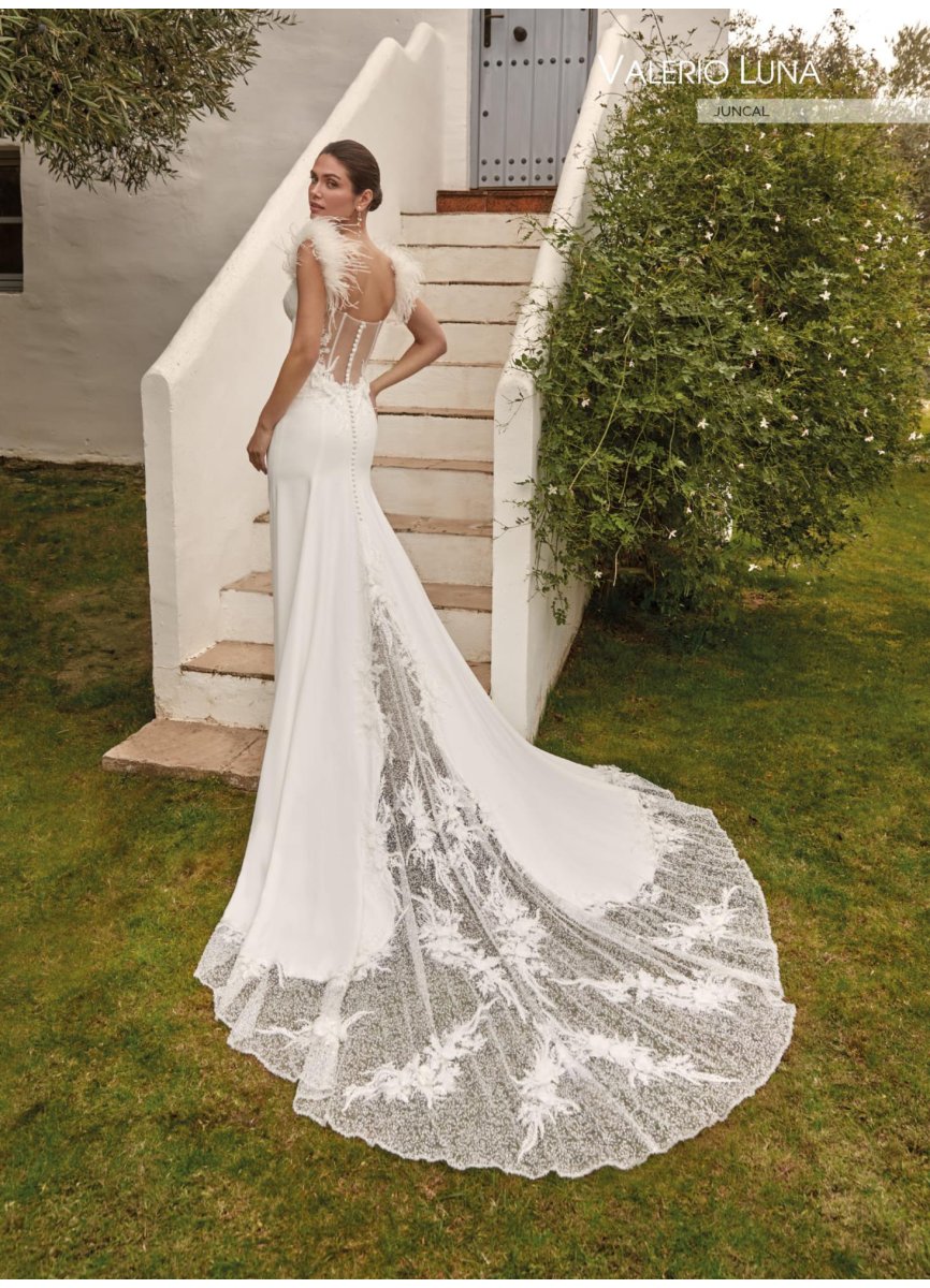 VESTIDO CREPE . PEDRERIA Y PLUMAS VESTIDO CREPE . PEDRERIA Y PLUMAS