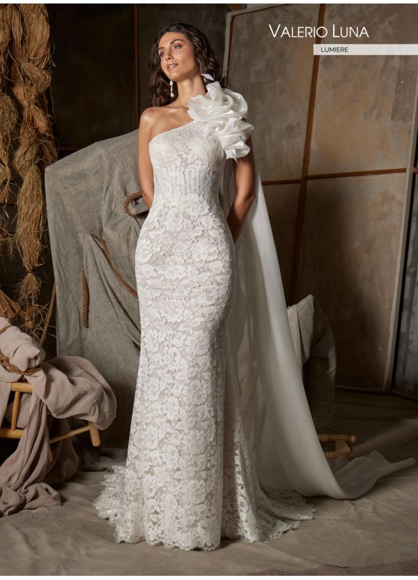 VESTIDO ENCAJE Y ORGANZA